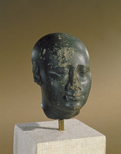 Head of a Man with Ovoid Skull by Late Period Egyptian